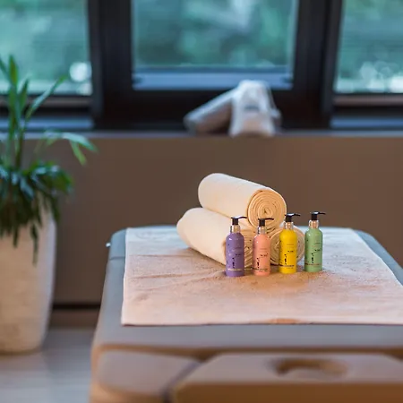 Deltapark Vitalresort**** 4* Reutigen